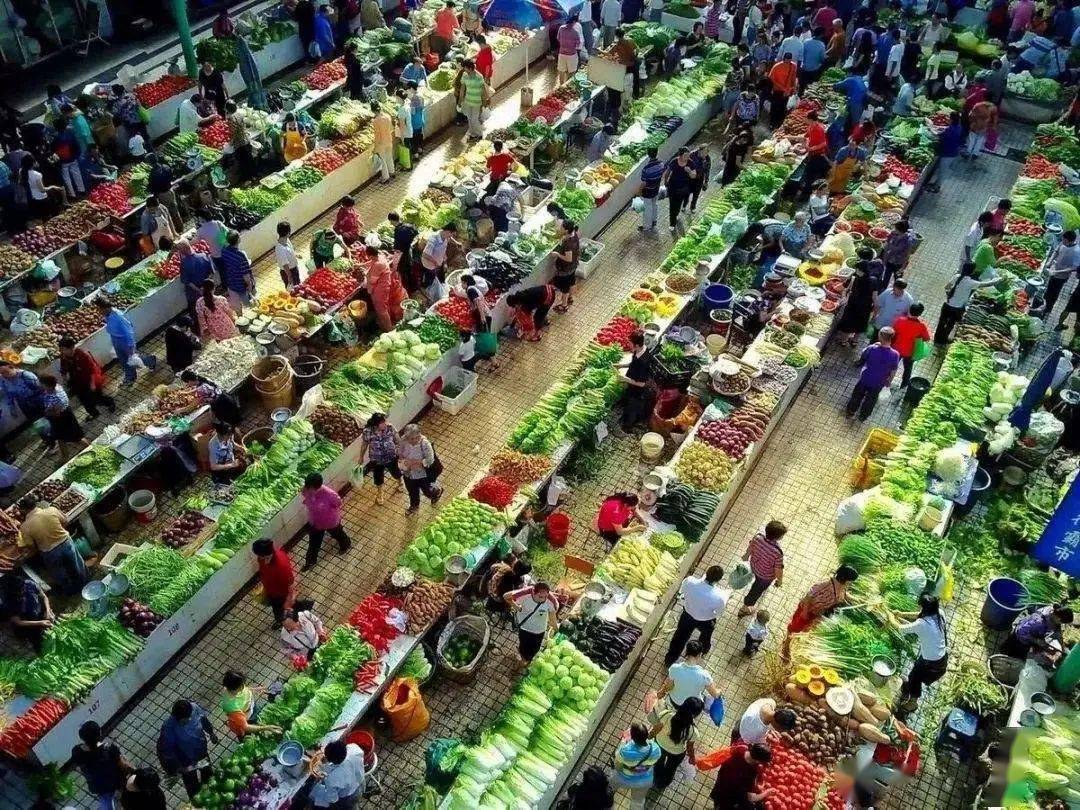 饲料与畜牧营养