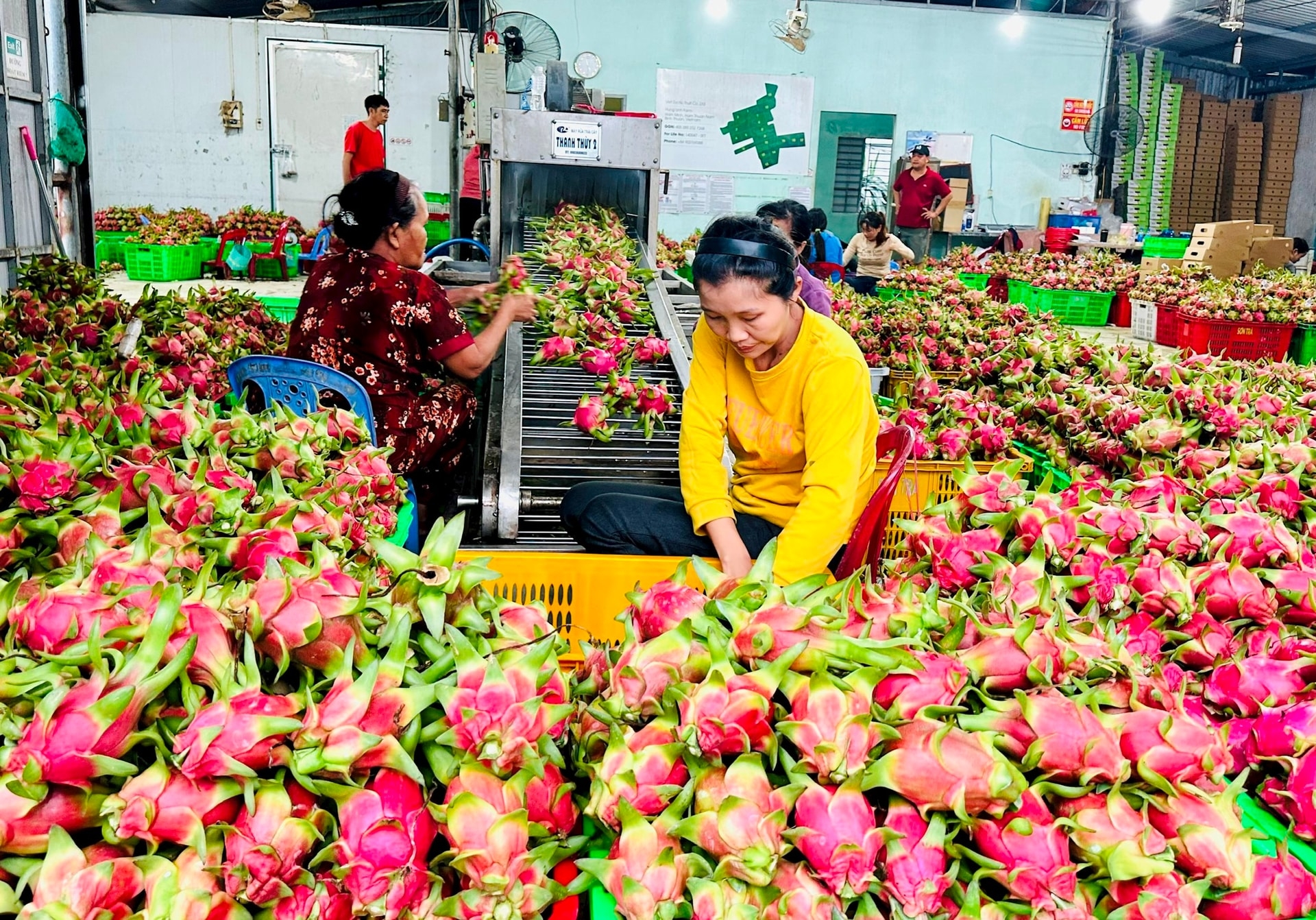 农副产品与集采